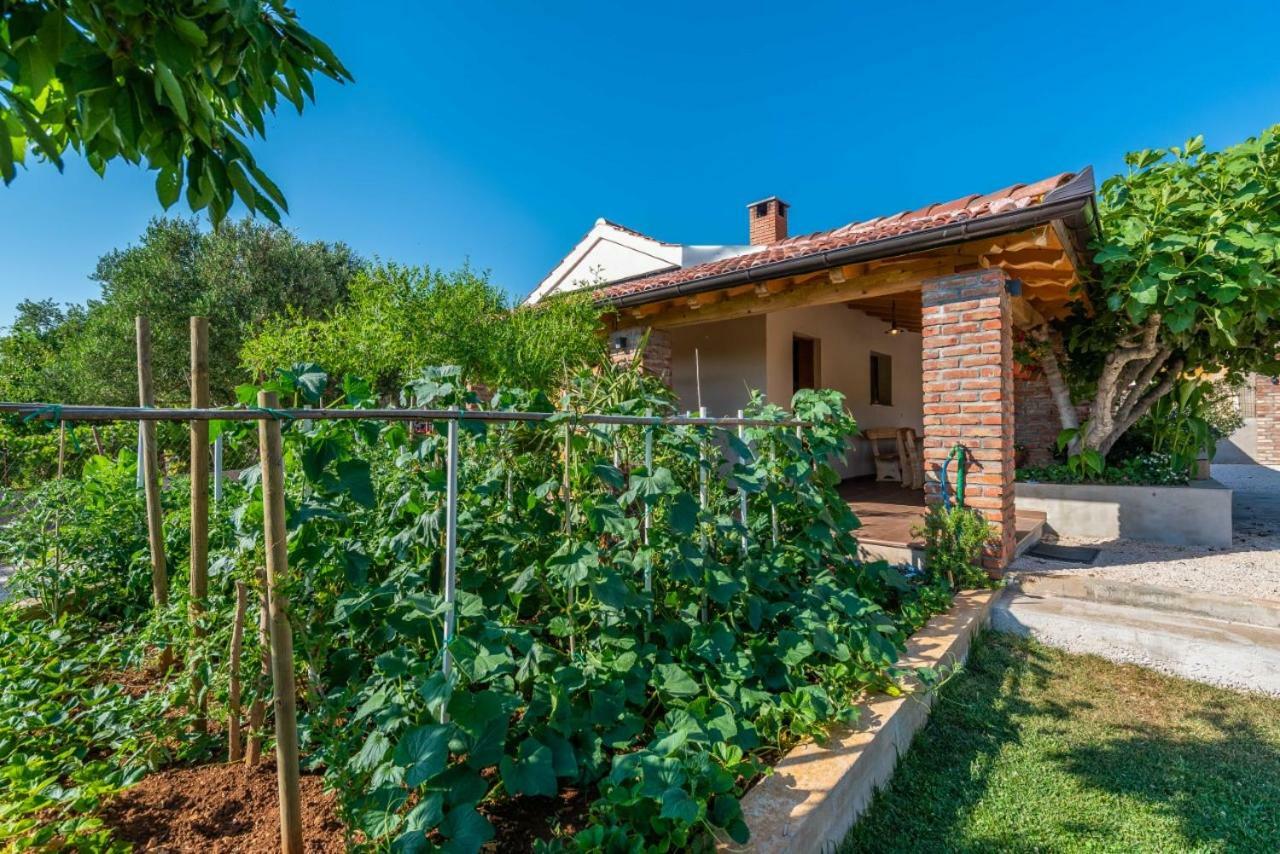 Villa Navita Augustinus With Pool Debeljak Buitenkant foto
